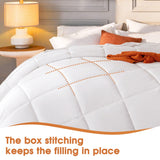 White King Comforter Set 8 Pieces, All Season Bed in a Bag, Comfortable King Bedding Sets