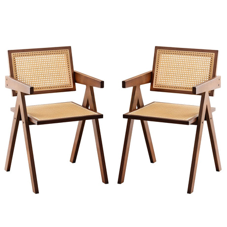 Rattan Accent Chairs, Modern Mid Century Dining Chairs Set of 2