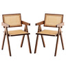 Rattan Accent Chairs, Modern Mid Century Dining Chairs Set of 2