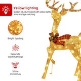 Lighted Christmas Decoration Reindeer Family