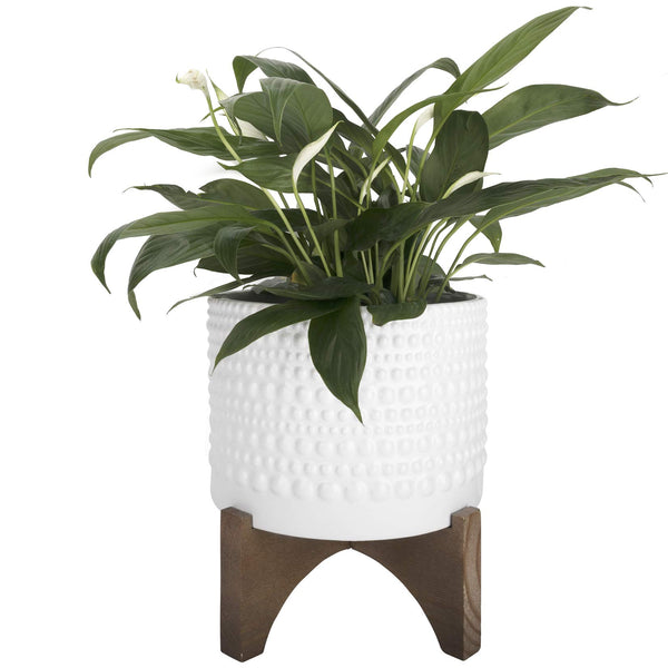 Ceramic Planter with Wood Stand - 8 Inch White Cylinder Embossed Hobnail Patterned Flower Plant Pot