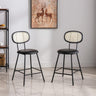 Counter Stools Rattan Back Dining Chair, Indoor Faux Leather Bar Stools Set of 2