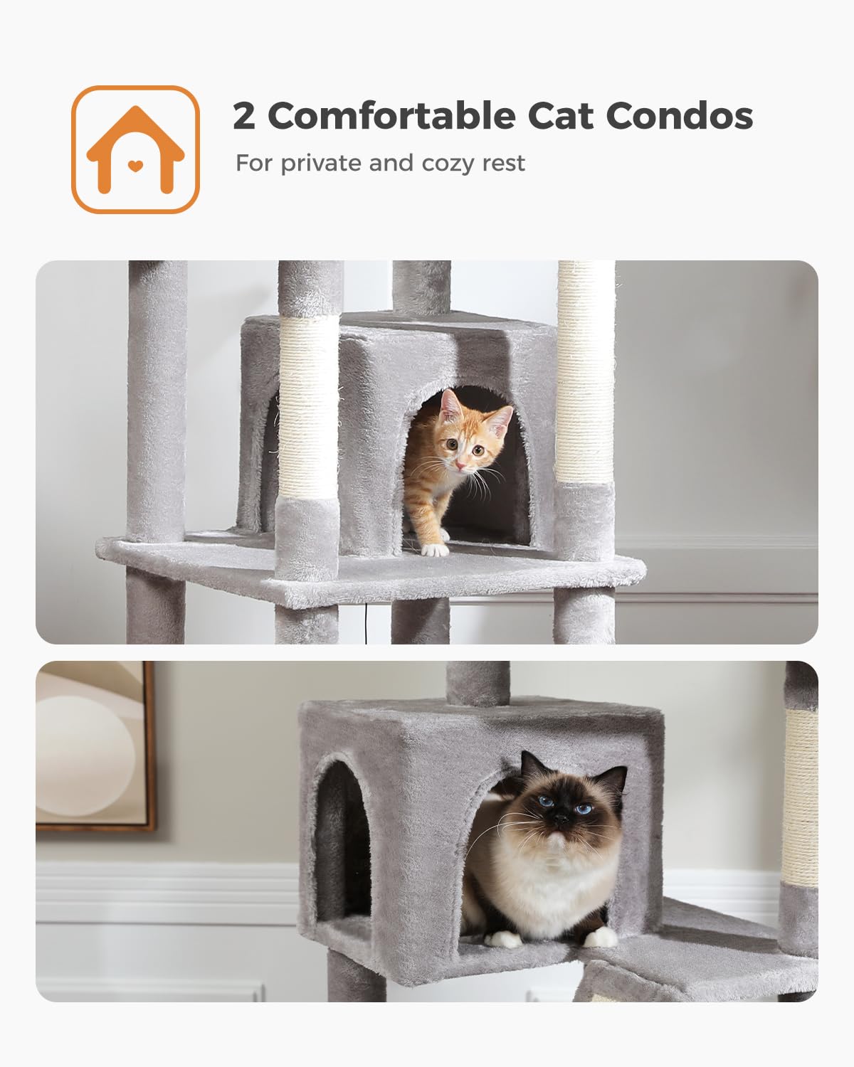 Large Cat Tree for Indoor Cats