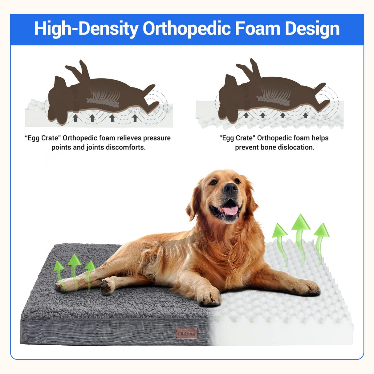 Orthopedic Dog Beds for Large Dogs, Dog Bed with Plush Egg Foam Support