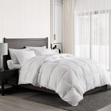 Organic Feathers Down Comforter King Size Duvet Insert for All Seasons