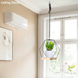 Plant Hanger with Wood Base