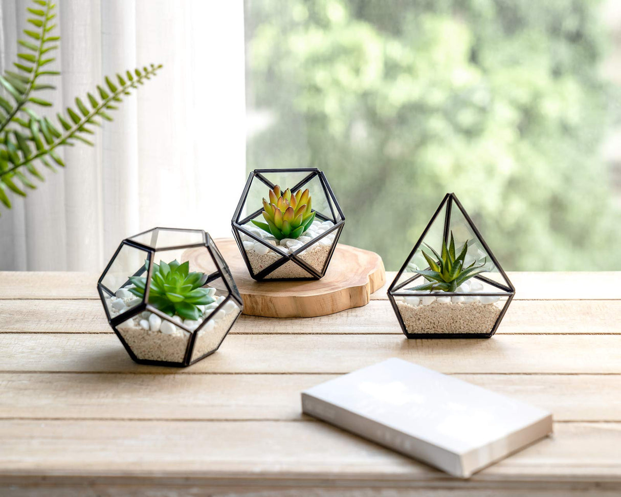 Artificial Succulent in 3 Pack Mini Glass Geometric Terrarium