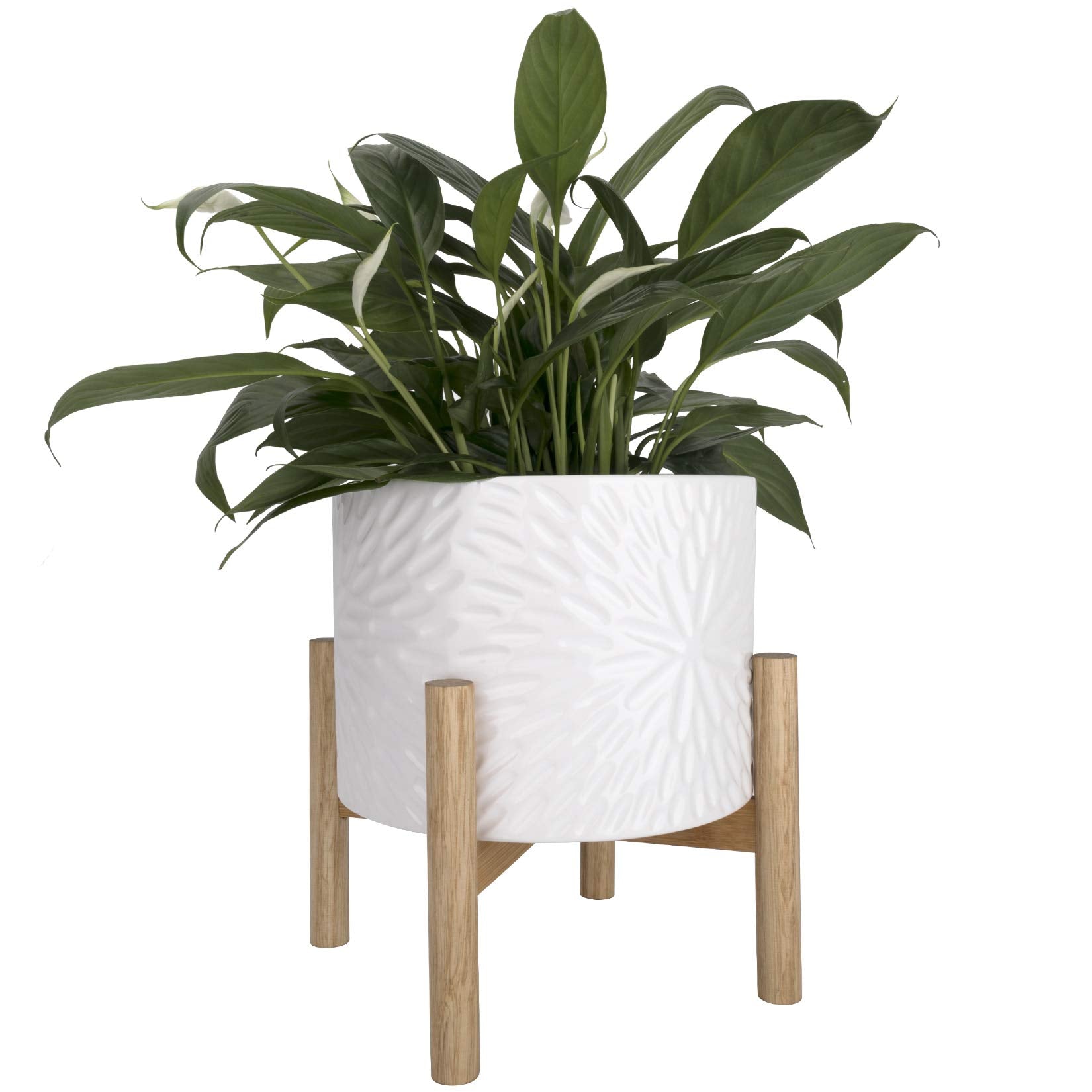8-Inch Ceramic Planter with Wooden Stand