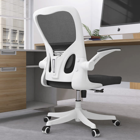 Office Chair - Ergonomic Office Chair with Lumbar Support