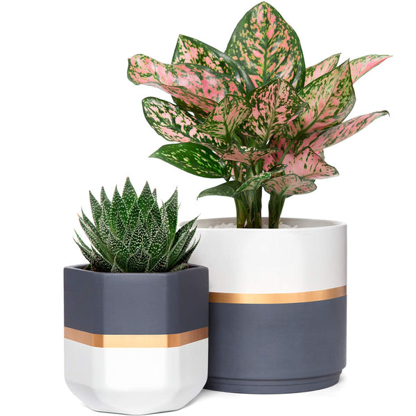Ceramic Flower Pots for Indoor Plants 6 Inch and 4.8 Inch Modern Decorative Planters