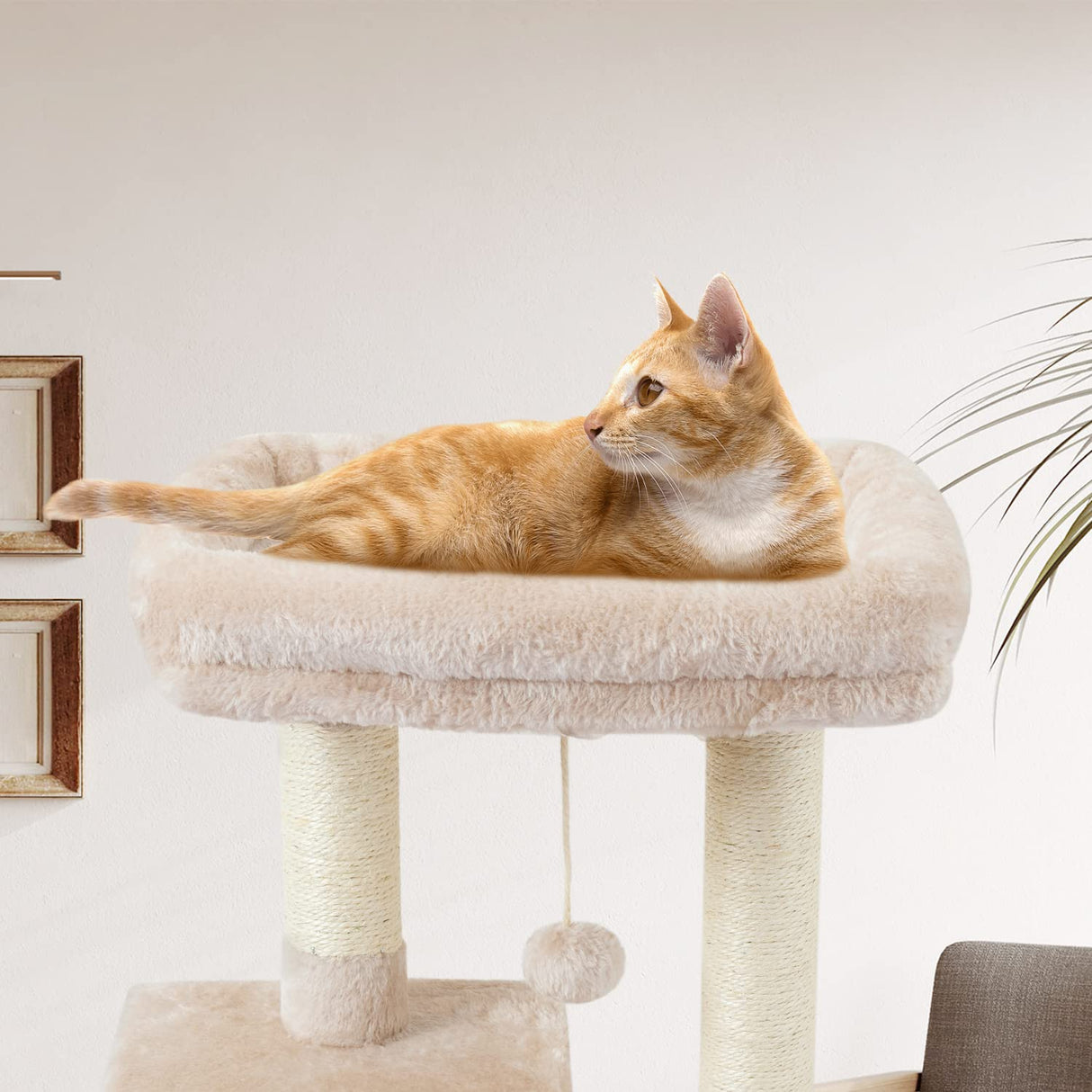 Cute Cat Tree Kitten Cat Tower for Indoor Cat Condo Sisal Scratching