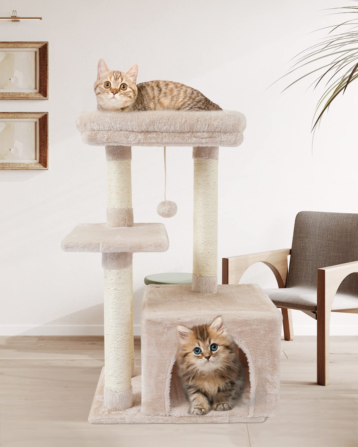 Cute Cat Tree Kitten Cat Tower for Indoor Cat Condo Sisal Scratching