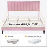 Full Bed Frame/Velvet Upholstered Platform Bed Frame with Headboard/Strong Wood Slats Support