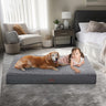 Orthopedic Dog Beds for Large Dogs, Dog Bed