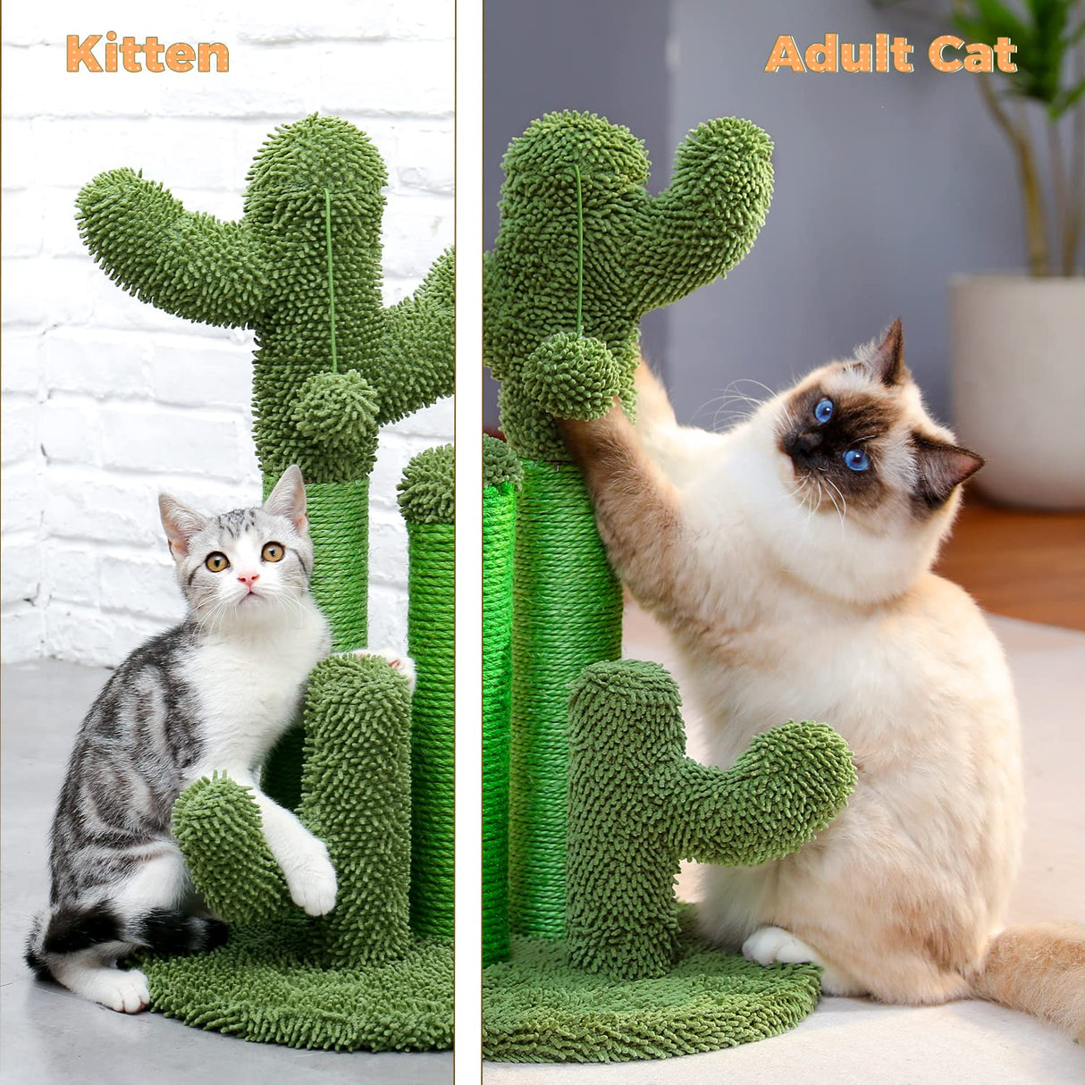 Cat Scratching Post Cactus Cat Scratcher Featurin