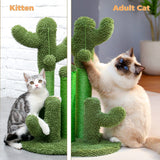 Cat Scratching Post Cactus Cat Scratcher Featurin