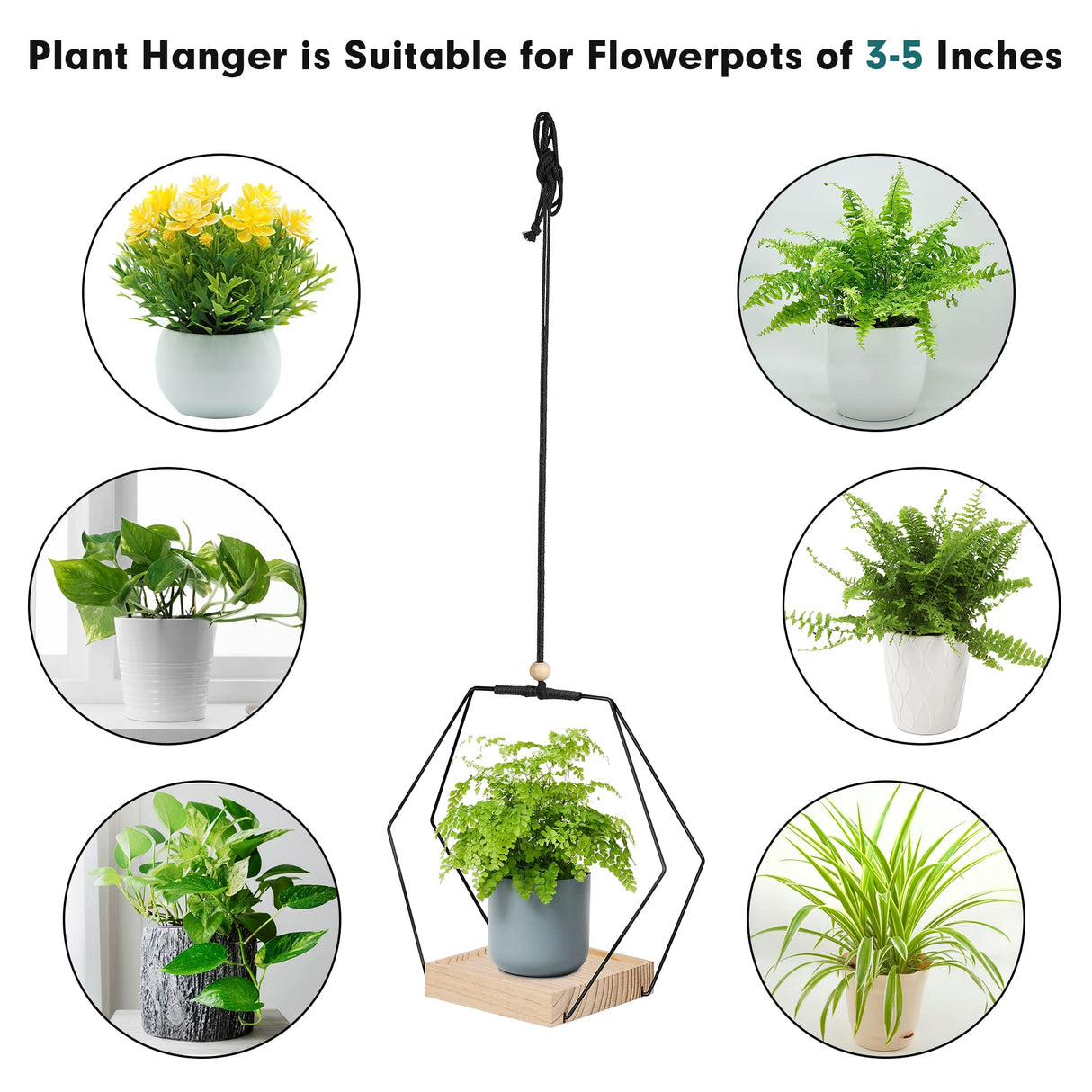 Plant Hanger with Wood Base