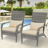 2 Pieces Patio Adirondack Wicker Chair