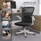 Office Chair - Ergonomic Office Chair with Lumbar Support