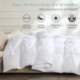 All Season Luxurious 50% White Goose Down Comforter Duvet Inserts Queen Size