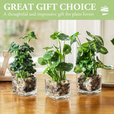 Set of 3 Artificial Plants, Faux Tabletop Greenery w/Clear Glass Pots