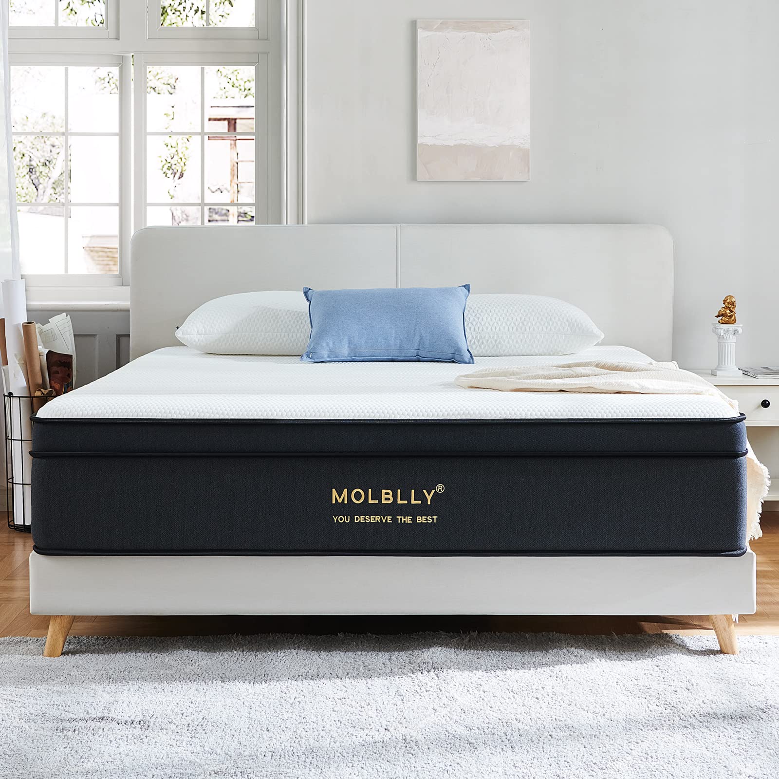 Queen Mattress, 12 Inch Hybrid Queen