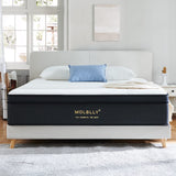 Queen Mattress14 Inch Hybrid Mattress in a Box with Gel Memory Foam