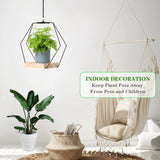 Plant Hanger with Wood Base