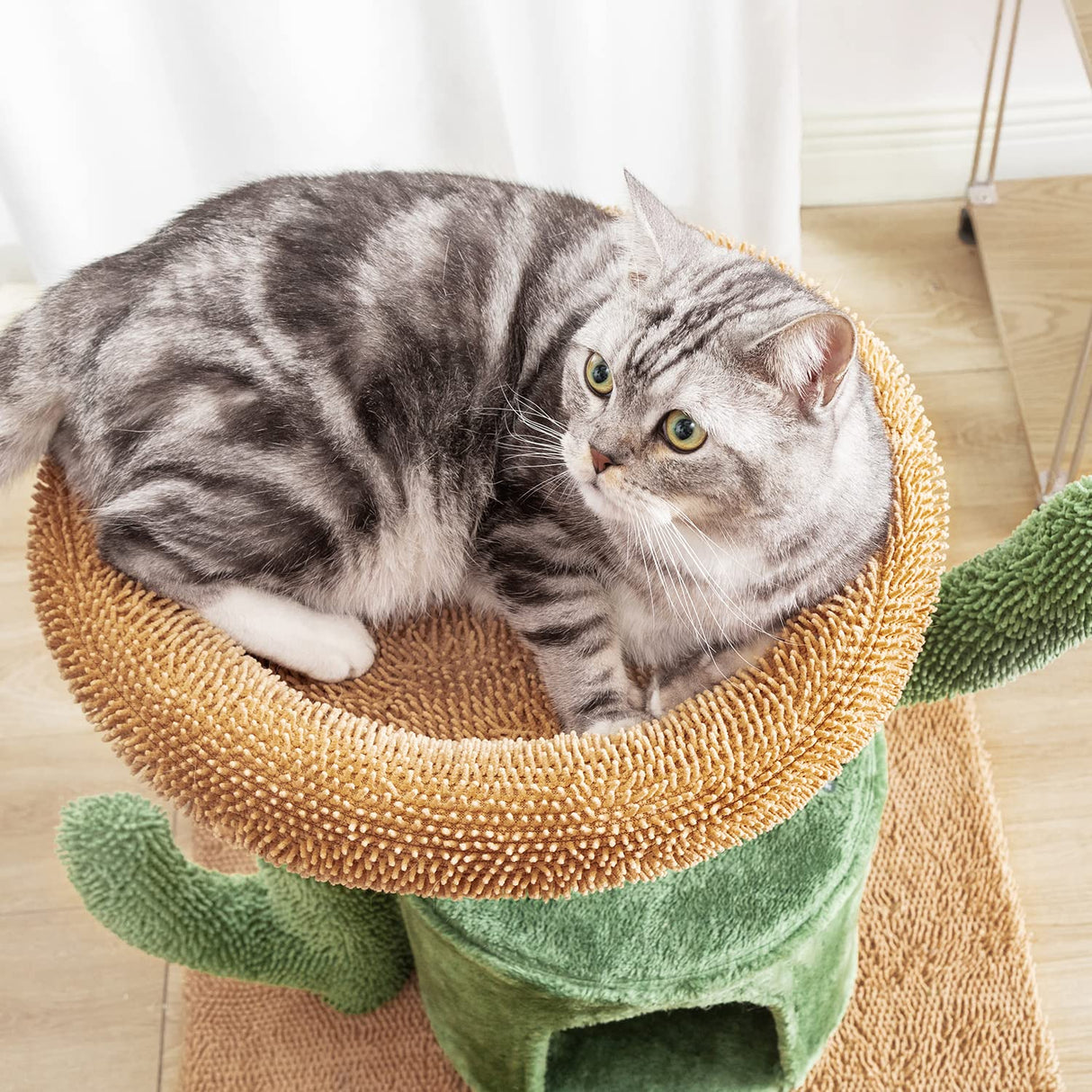 Cat Tree for Indoor Cats, 24.5inchs