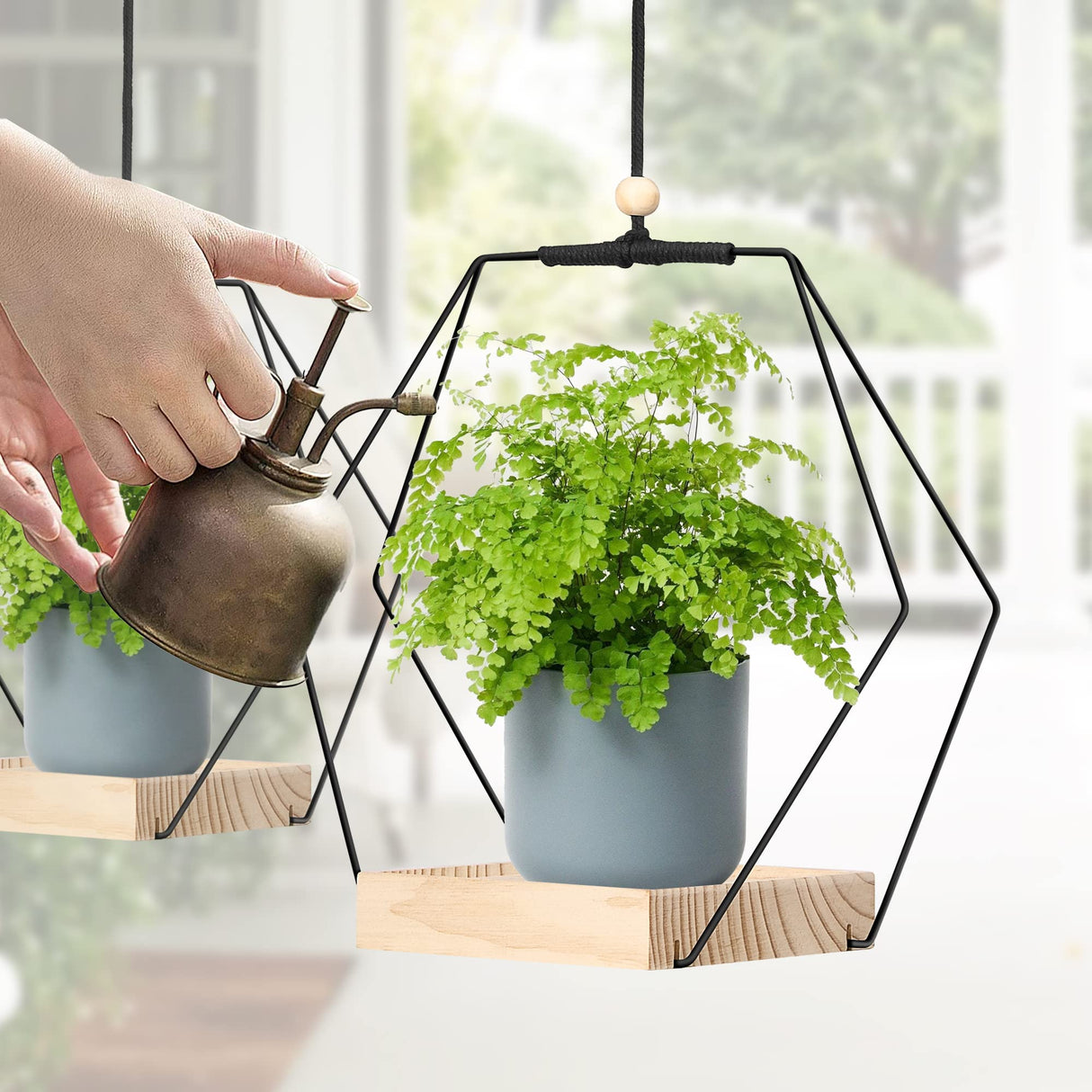 Plant Hanger with Wood Base