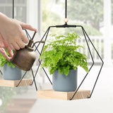 Plant Hanger with Wood Base