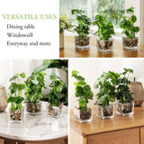 Set of 3 Artificial Plants, Faux Tabletop Greenery w/Clear Glass Pots