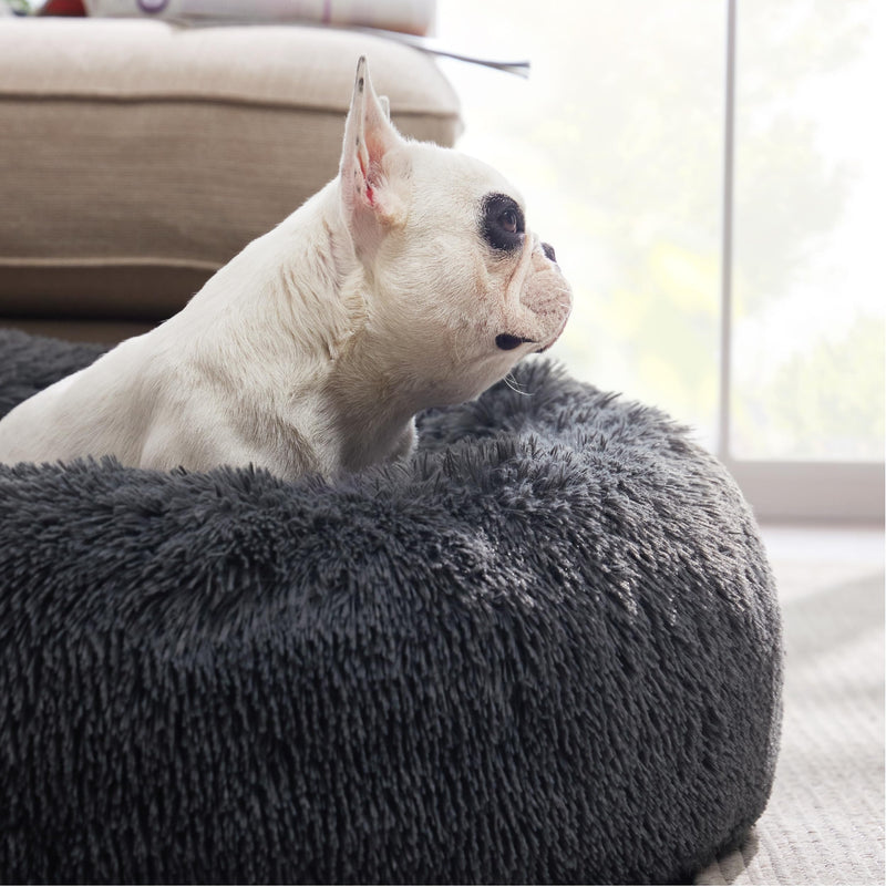 Calming Dog Bed for Medium Dogs - Donut Washable Medium Pet Bed