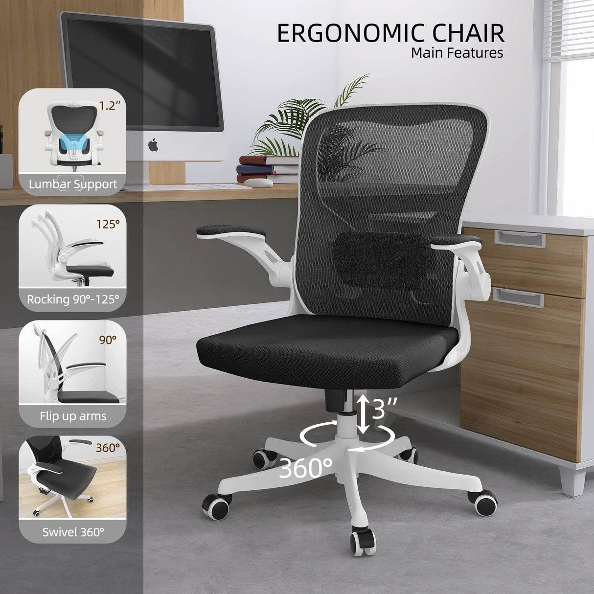 Office Chair - Ergonomic Office Chair with Lumbar Support