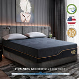 14 Inch Queen Memory Foam Mattress for Back Pain