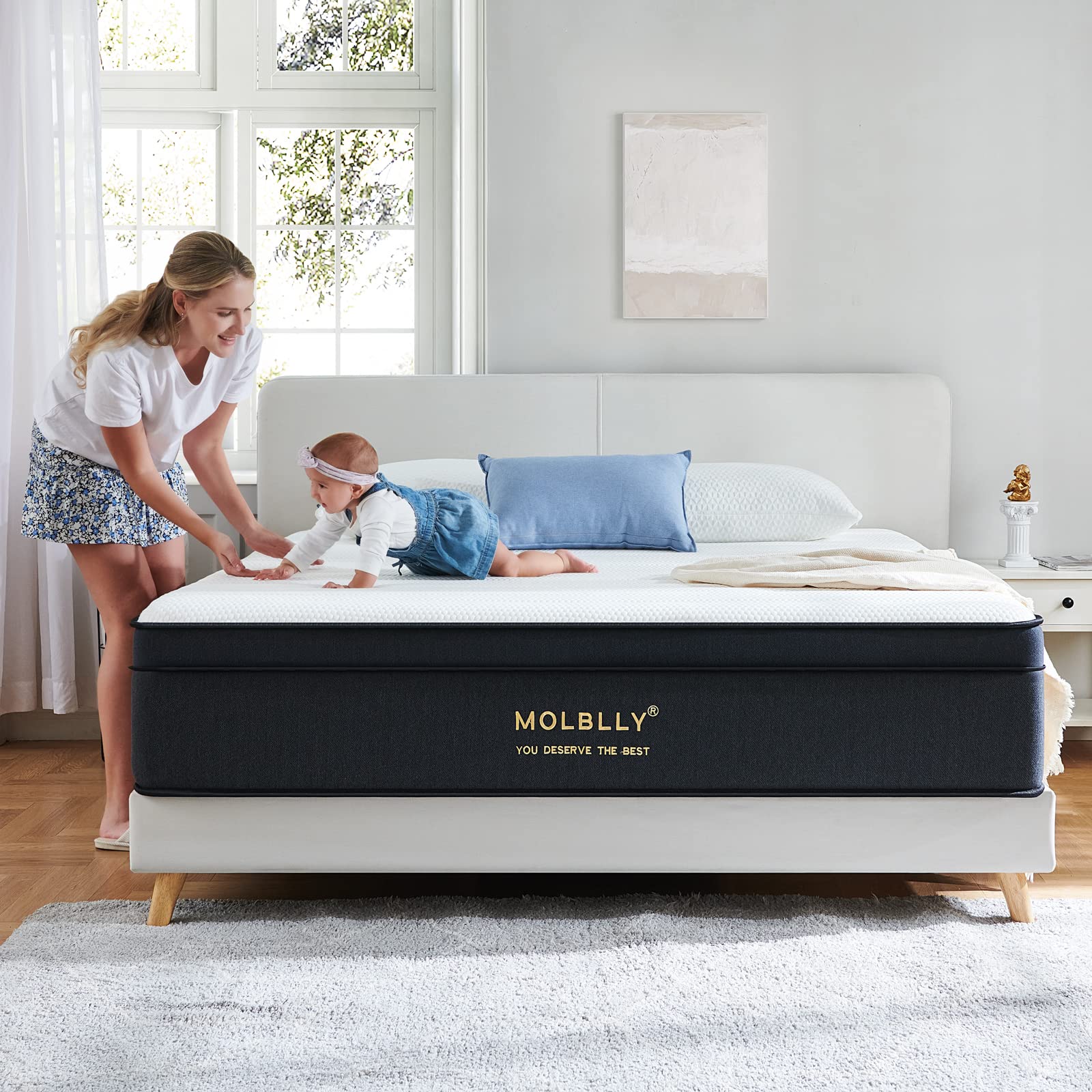 Queen Mattress, 12 Inch Hybrid Queen