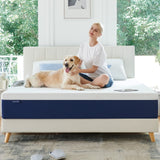 12 inch Gel Memory Foam Mattress with CertiPUR-US Bed Mattress