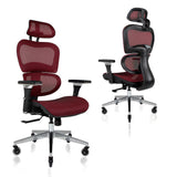 Ergo3D Ergonomic Office Chair - Rolling Desk Chair