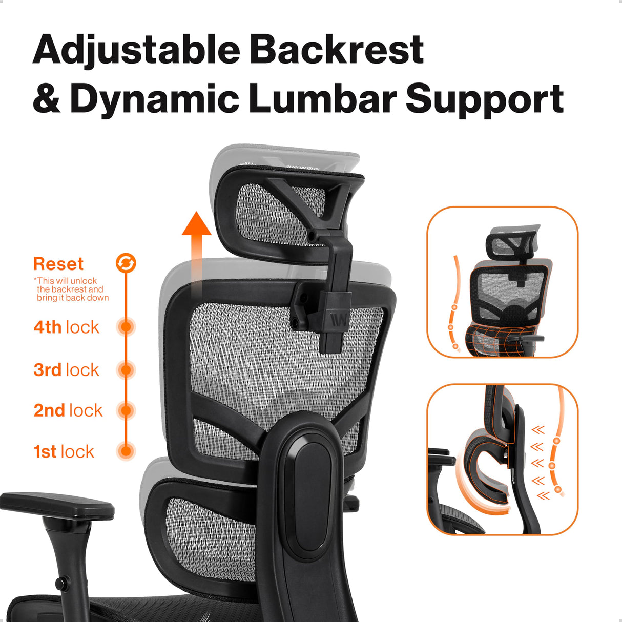 Prestige Ergonomic Office Chair - Height Adjustable Backrest Lumbar Support