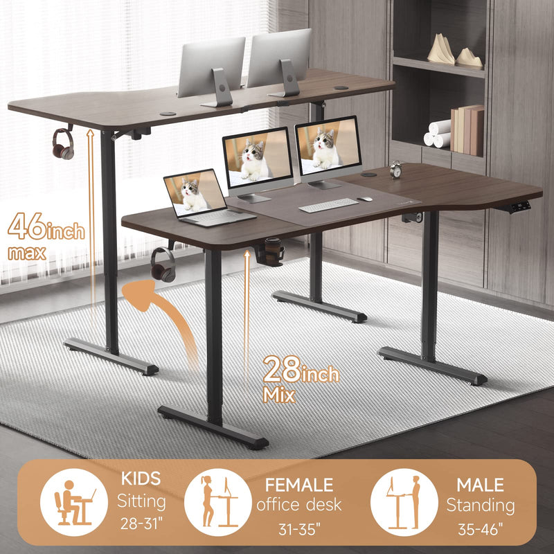 Electric Standing Desk Height Adjustable Computer Table-55 x 24 Inches Durable Large Workstation