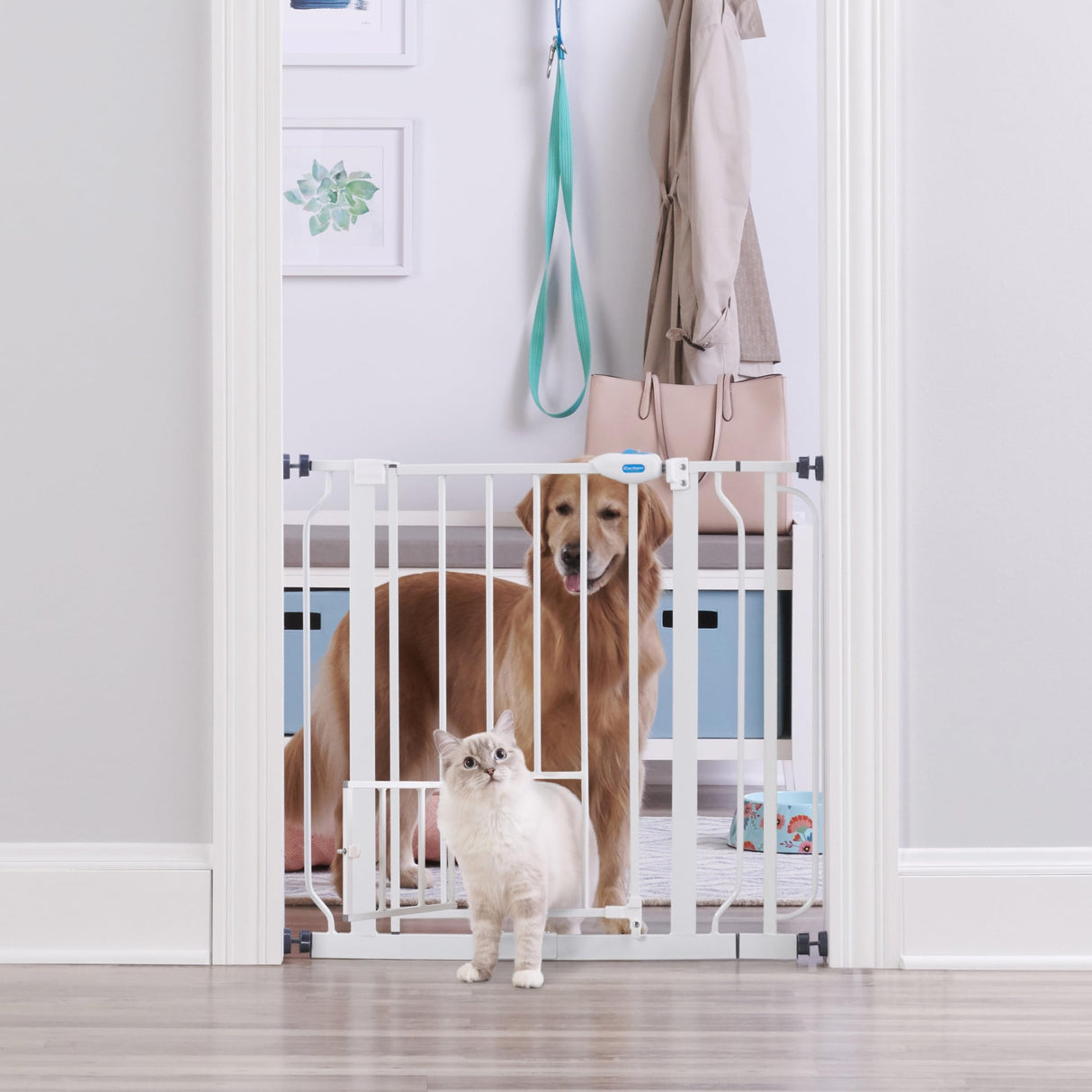 Extra Wide Walk Through Pet Gate with Small Pet Door, Includes 4-Inch Extension Kit