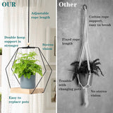 Plant Hanger with Wood Base