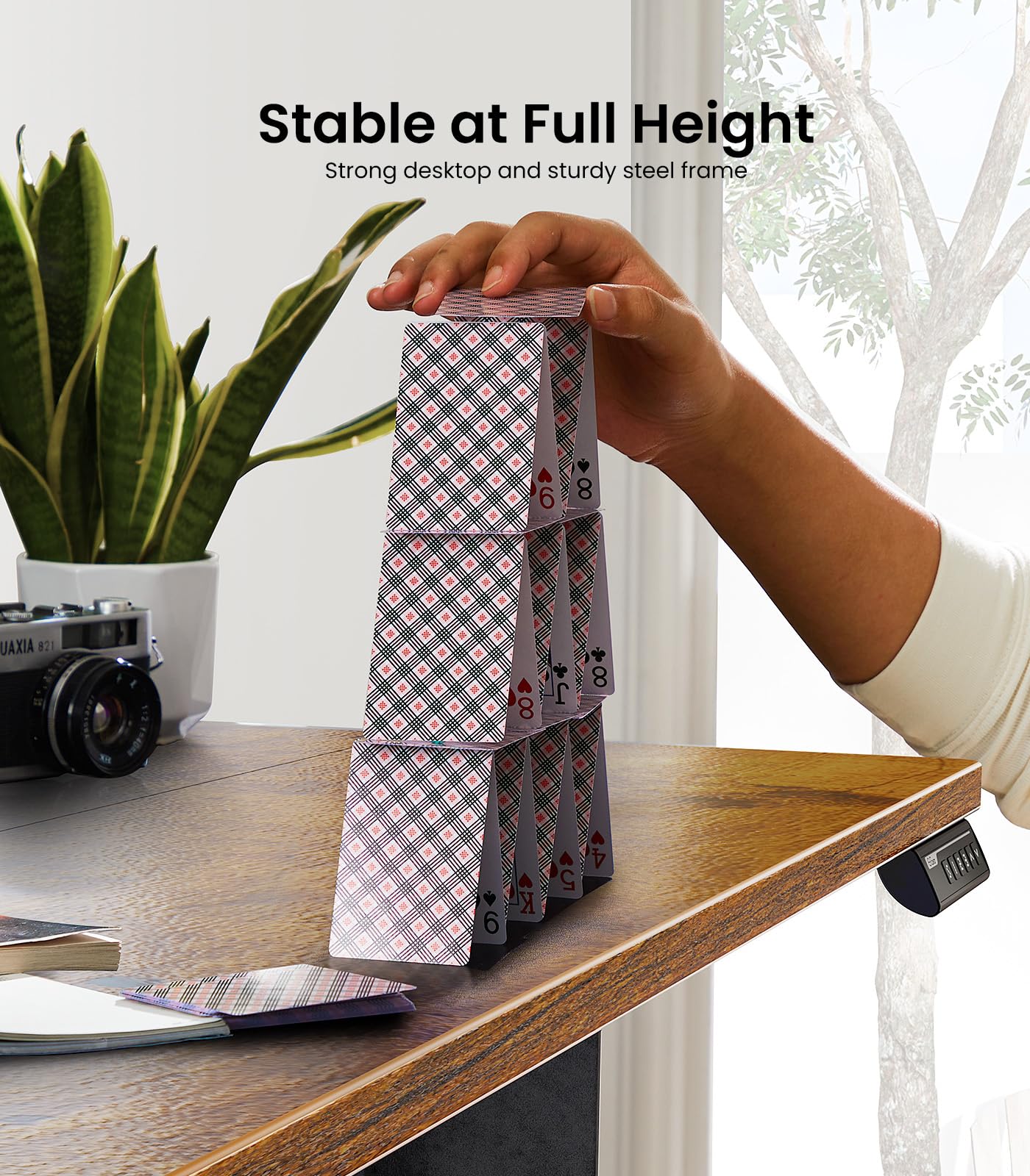 Adjustable Height Electric Standing Desk