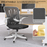 Office Chair - Ergonomic Office Chair with Lumbar Support