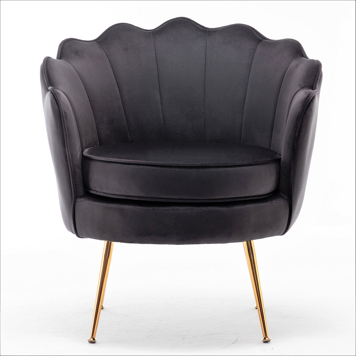 Velvet Barrel Accent Chair with Scalloped Silhouette and Gold Metal Legs