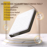 10 Inch Memory Foam Hybrid Mattress in a Box