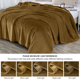 Heavy Single Ply 9 Lbs Korean Style Faux Mink Blanket, 750GSM Thick Silky Soft Plush