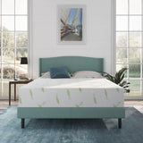 Full Size Mattress, 12 Inch Anula Green Tea Infused Foam Mattress