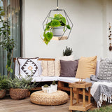 Plant Hanger with Wood Base