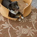 Indoor Outdoor Rugs by Reyn Spooner Tropical Rugs